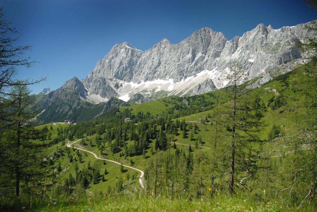 Hotel Ramsaueralm 3*